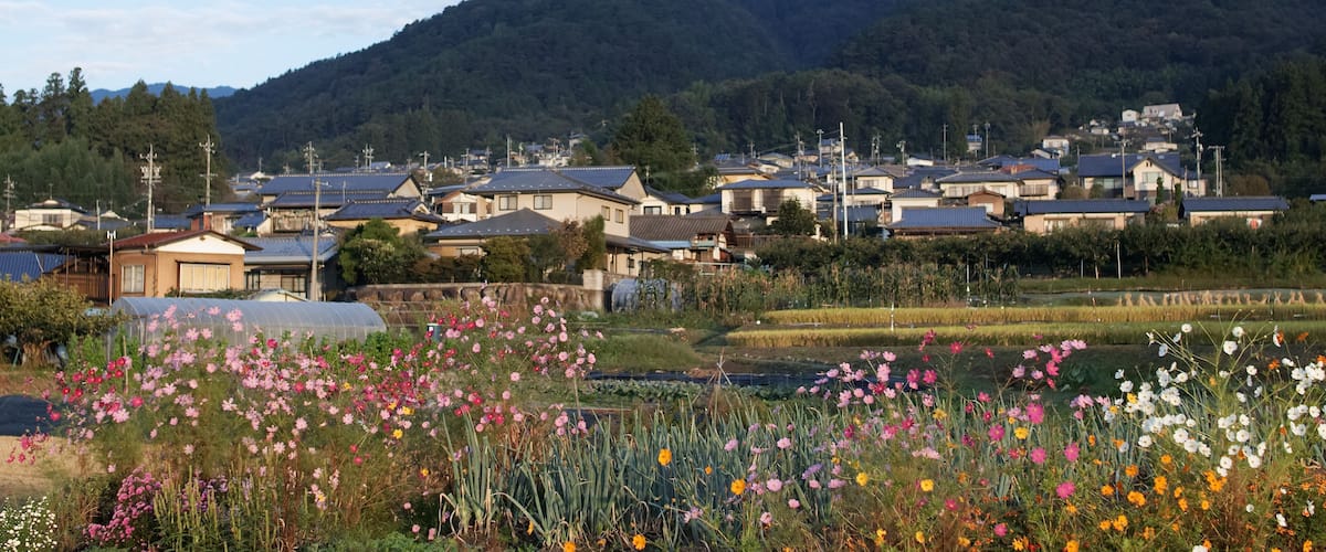 A rural village with houses, a river, and mountains in the background.