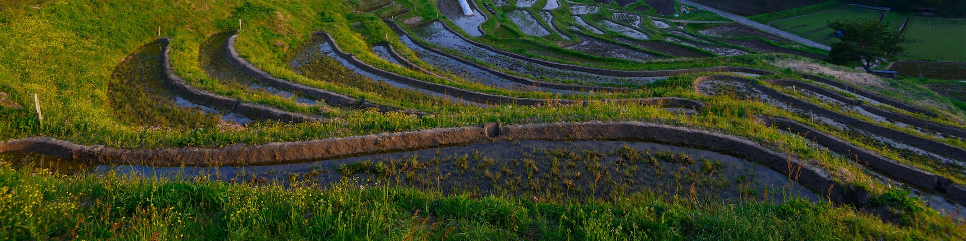 Yokone rice paddies at dusk in Iida city, Nagano, Japan