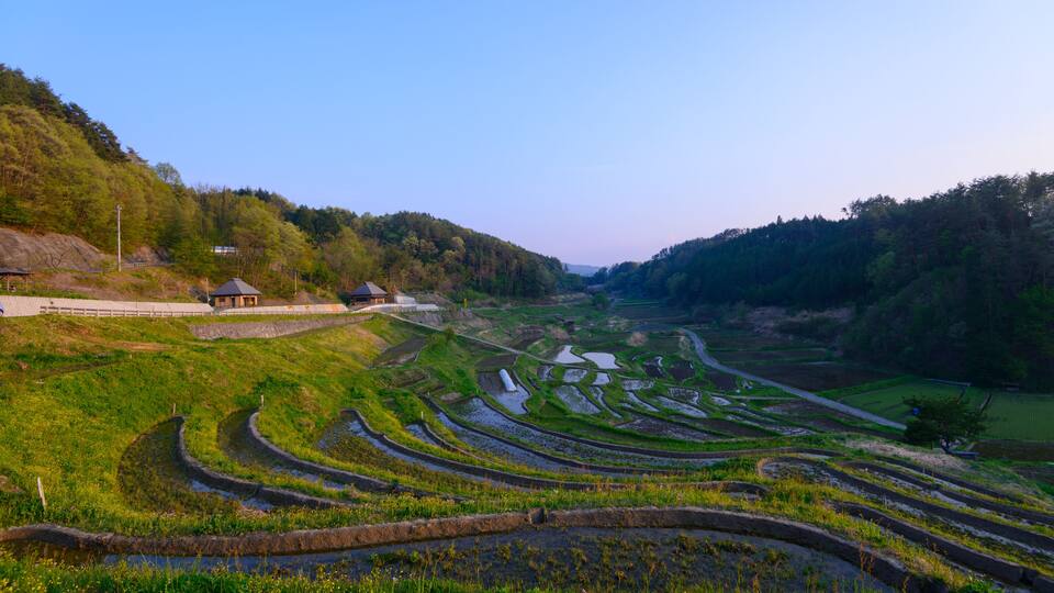 Terraced rice fields, a small wooden structure, and a hilly landscape.