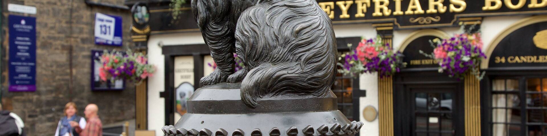 Greyfriar\'s Bobby mettant en vedette scÚnes de rue et art extérieur