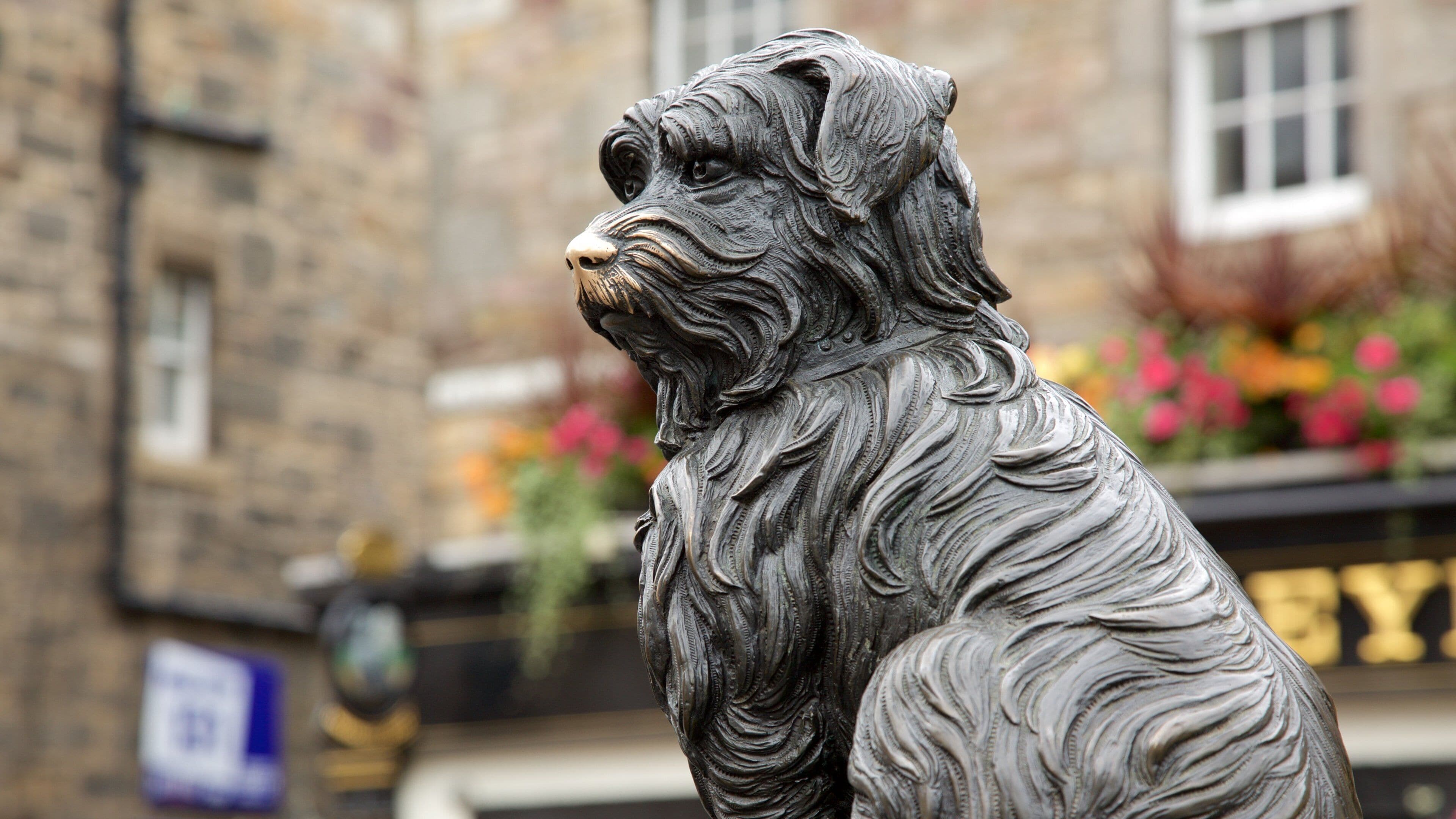 Greyfriar\'s Bobby som viser udendørs kunst