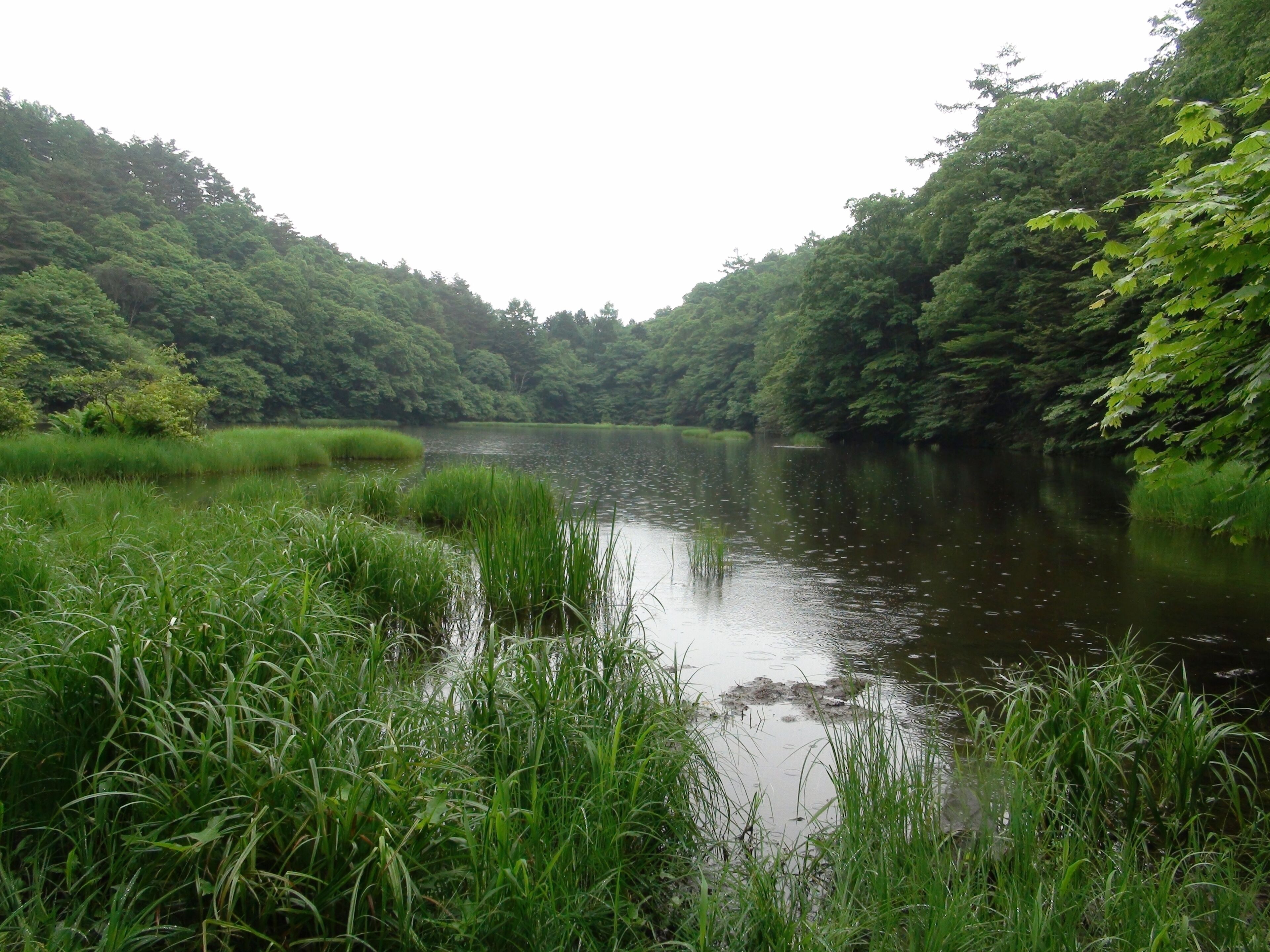Sawara-ike Pond in the halfway up a mountain of the Mt. Amari