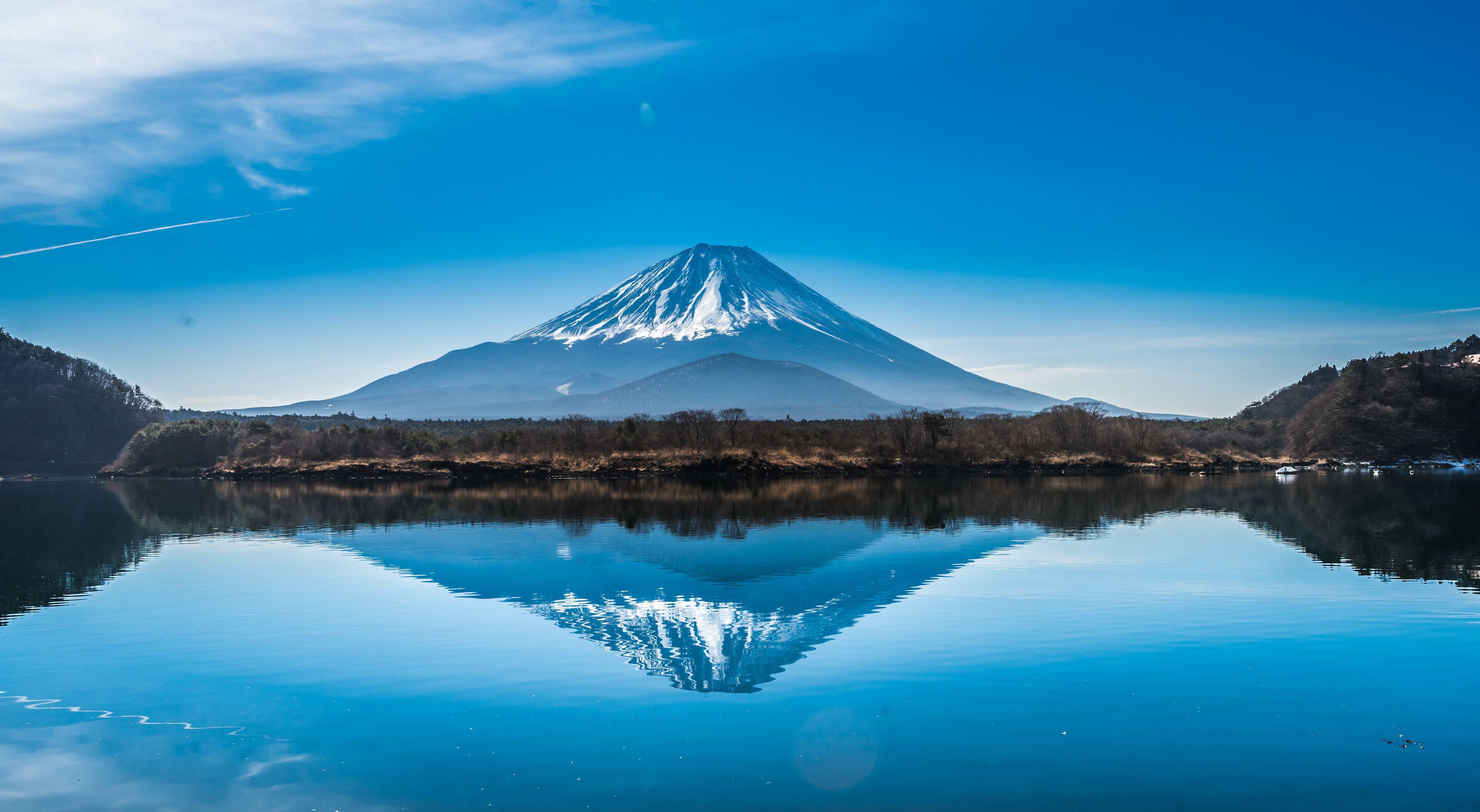 Japan ,Nirasaki, cerejeira,,Jindaizakura