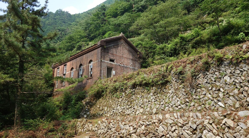 æ§æ±ćčłçŹŹäžć€é»æ 2013ćčŽ8æ æźćœ±