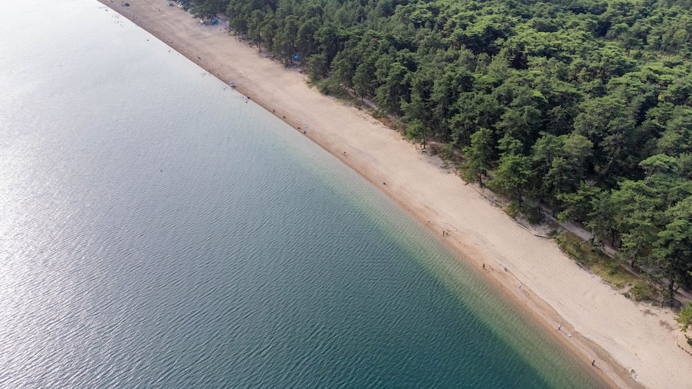 Une plage côtière avec une eau claire, un rivage sablonneux et une forêt dense.