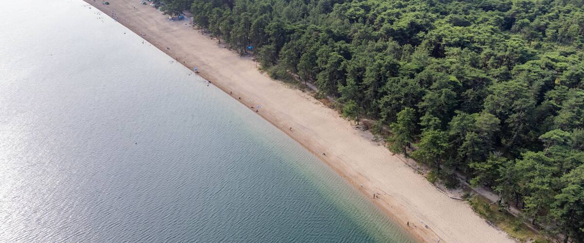A coastal beach with clear water, sandy shore, and dense forest.