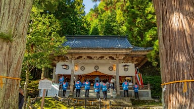 Ein traditioneller japanischer Tempel mit einem Ziegeldach, umgeben von üppiger Vegetation und großen Bäumen.