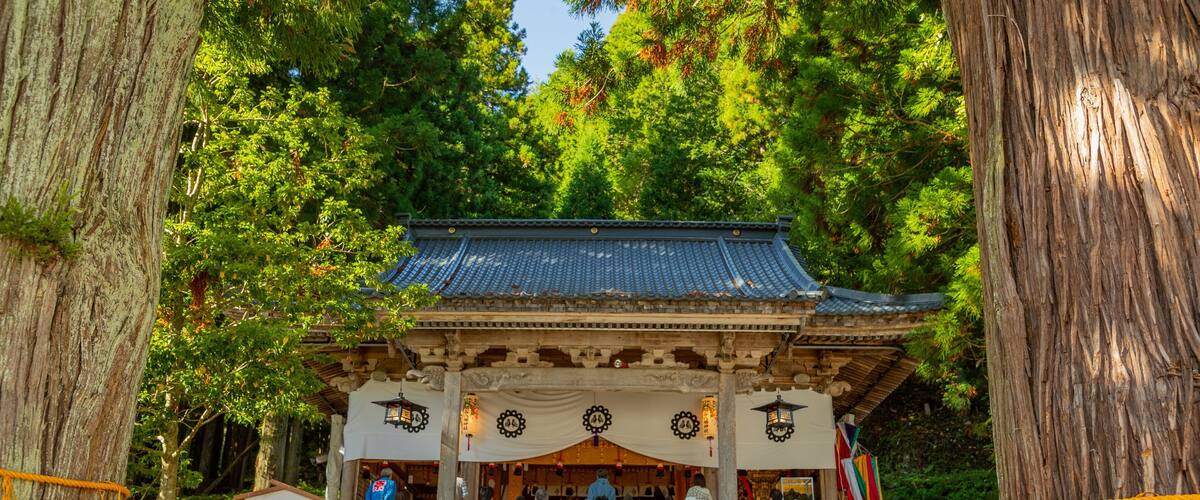 A traditional Japanese temple with a tiled roof, surrounded by lush greenery and large trees.