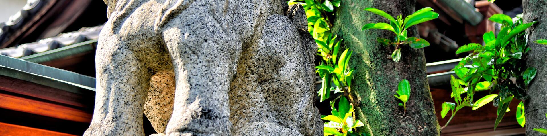 Guardian dog of Isesaki-shrine in Gunma, Japan.