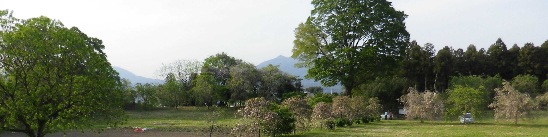 A grassy field with trees and a distant mountain range.