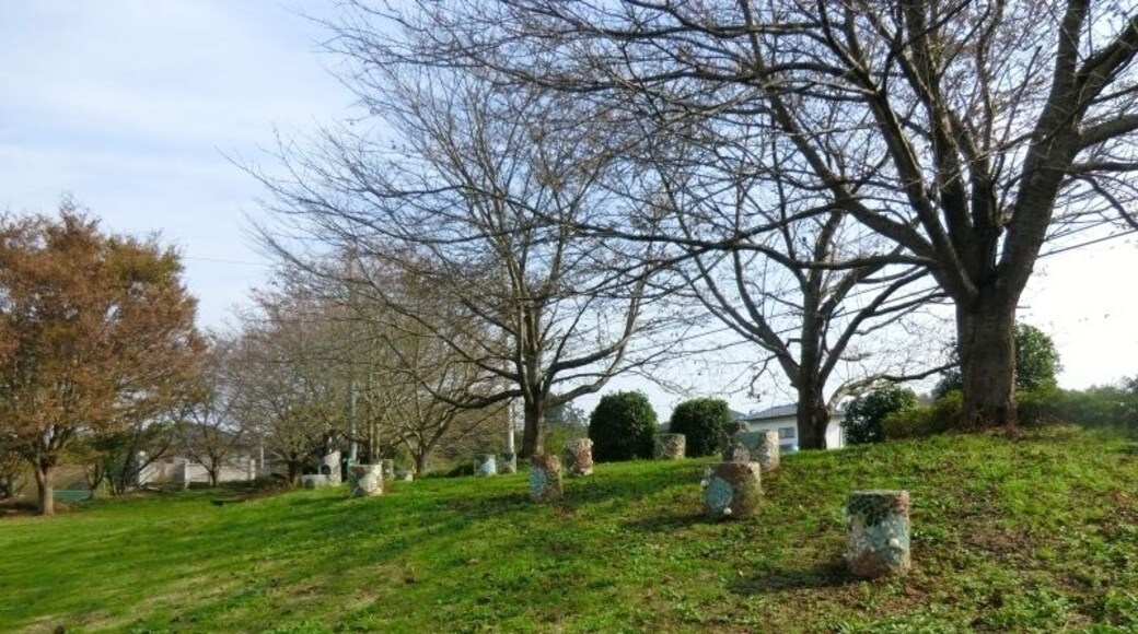 宮山ふるさと ふれあい公園 2011年11月