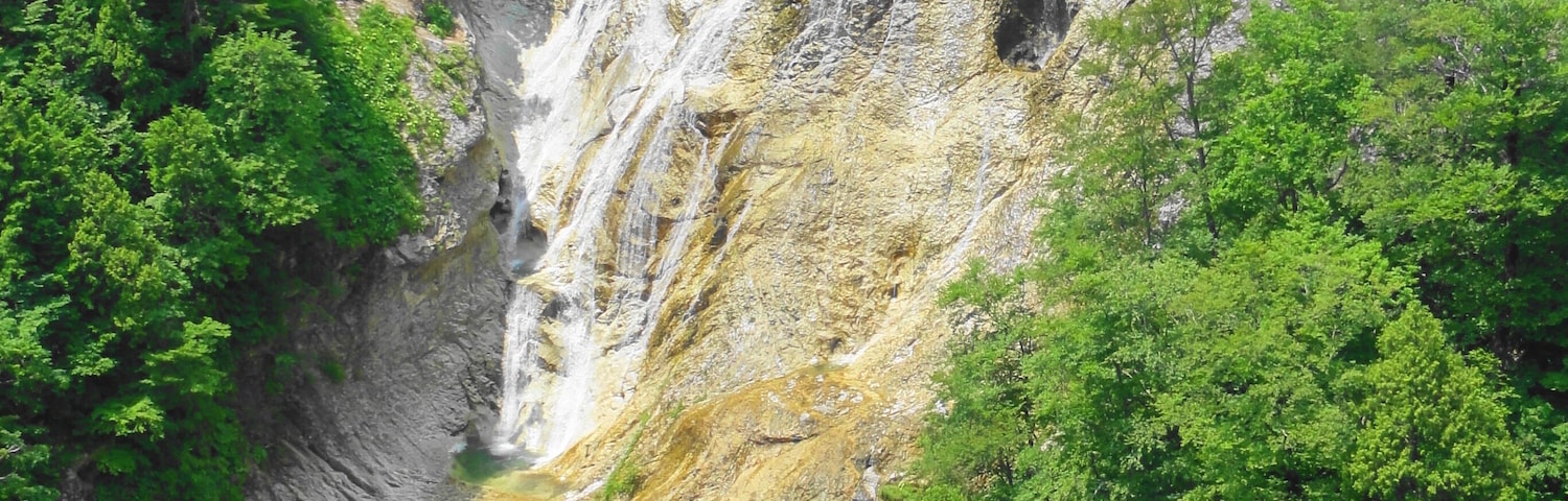 Uma cascata desce por um penhasco rochoso, rodeada por uma floresta verdejante.