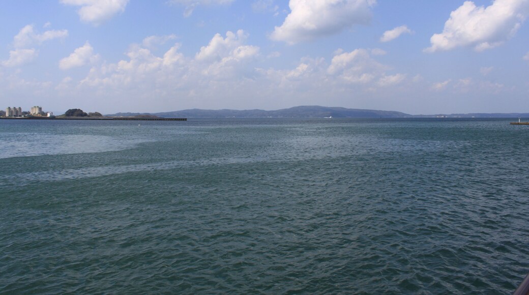 èœç»éŁç„ćžć ŽăăăźéąšæŻ