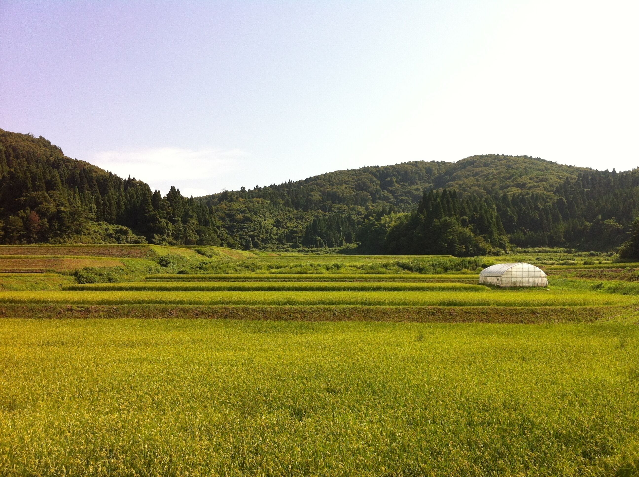 能登島の風景(Scenery of Notojima)