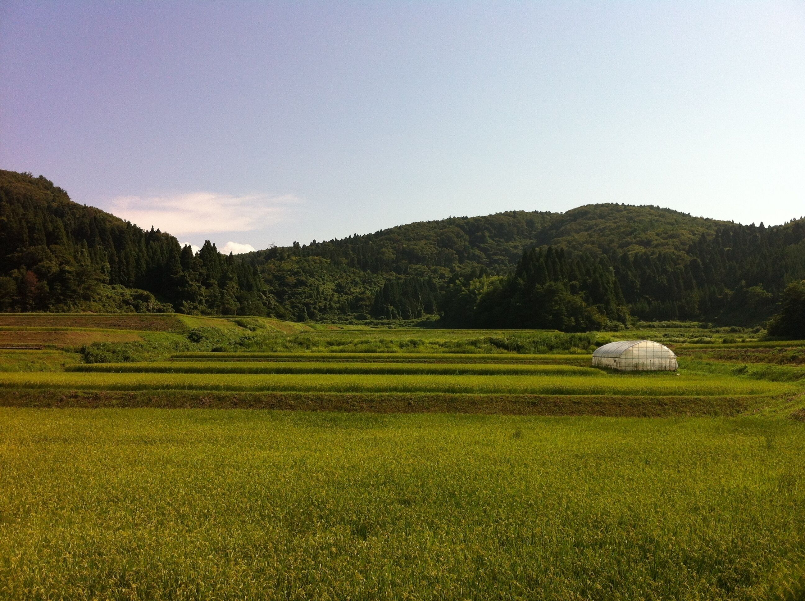 能登島の風景(Scenery of Notojima)