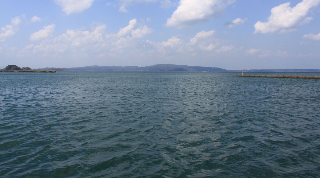 èœç»éŁç„ćžć ŽăăăźéąšæŻ