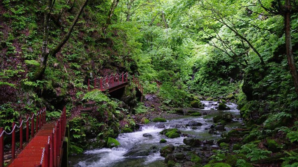 Ishizawa Gorge (石沢峡)
