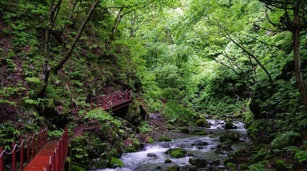 Ishizawa Gorge (石沢峡)