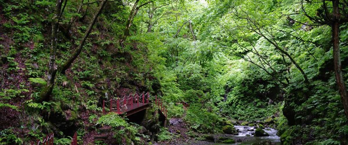 Ishizawa Gorge (石沢峡)