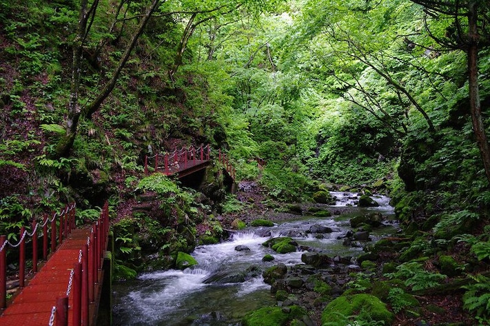 Ishizawa Gorge (石沢峡)