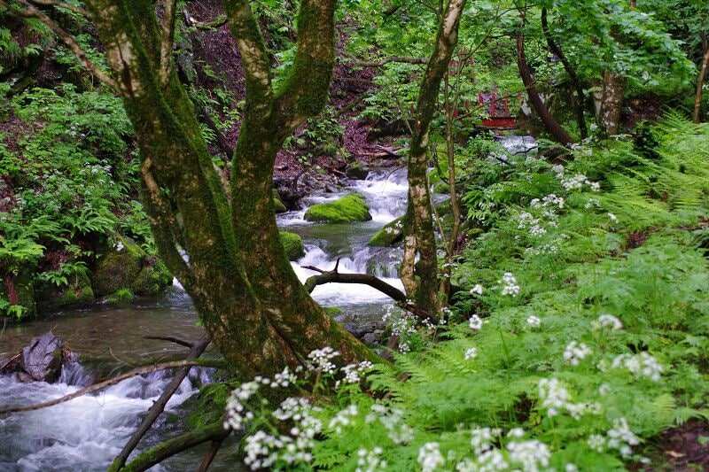 Ishizawa Gorge (石沢峡)