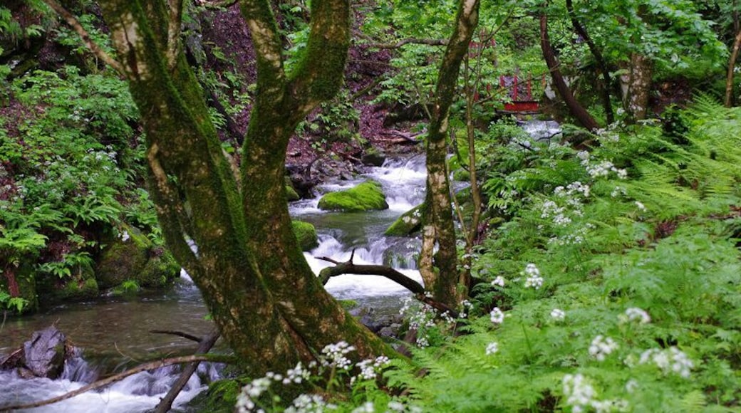 Ishizawa Gorge (石沢峡)