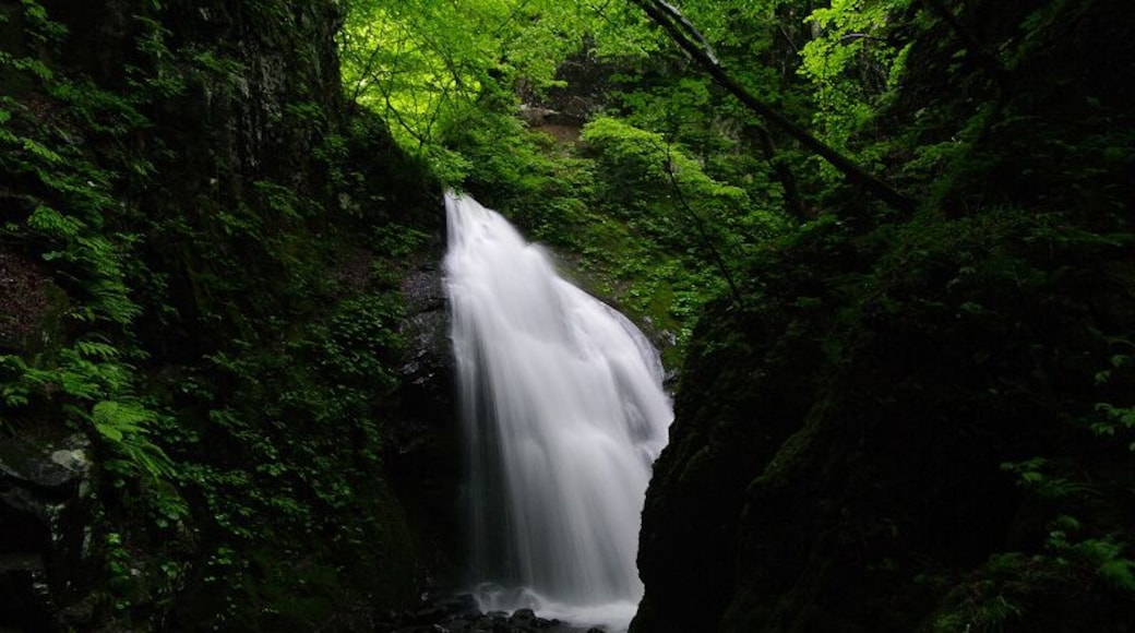 Ishizawa O-taki Waterfall (石沢大滝)