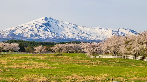 ยุริฮนโจ