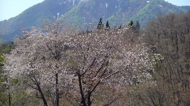 八塩山(秋田県由利本荘市矢島町)