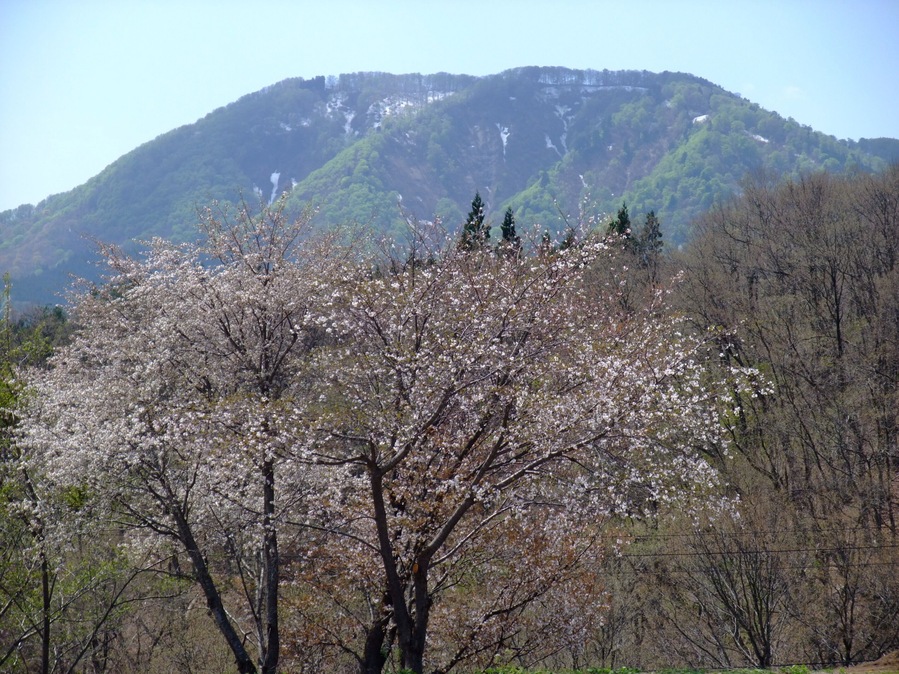 八塩山(秋田県由利本荘市矢島町)