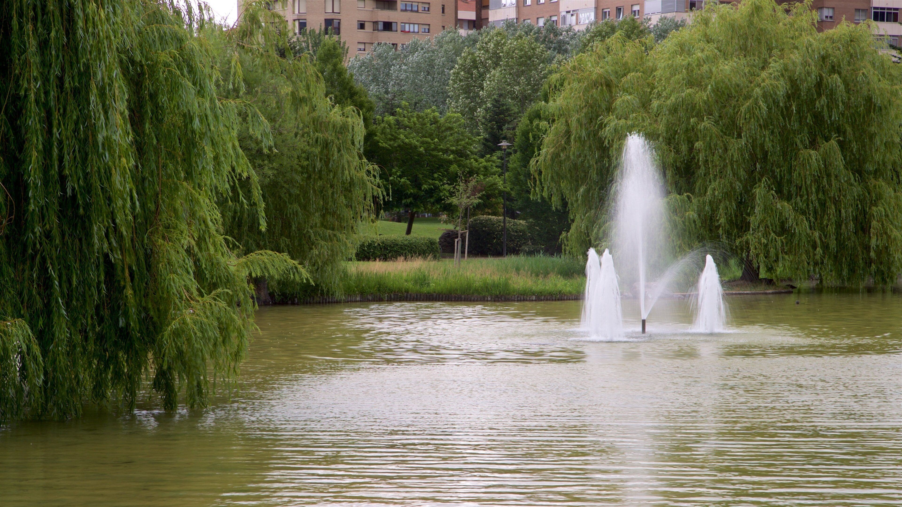 Parc de Yamaguchi mettant en vedette fontaine et lac ou étang