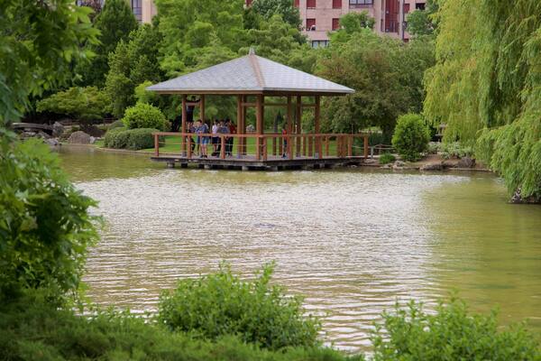 Ein Pavillon am See, umgeben von üppigem Grün und Bäumen.