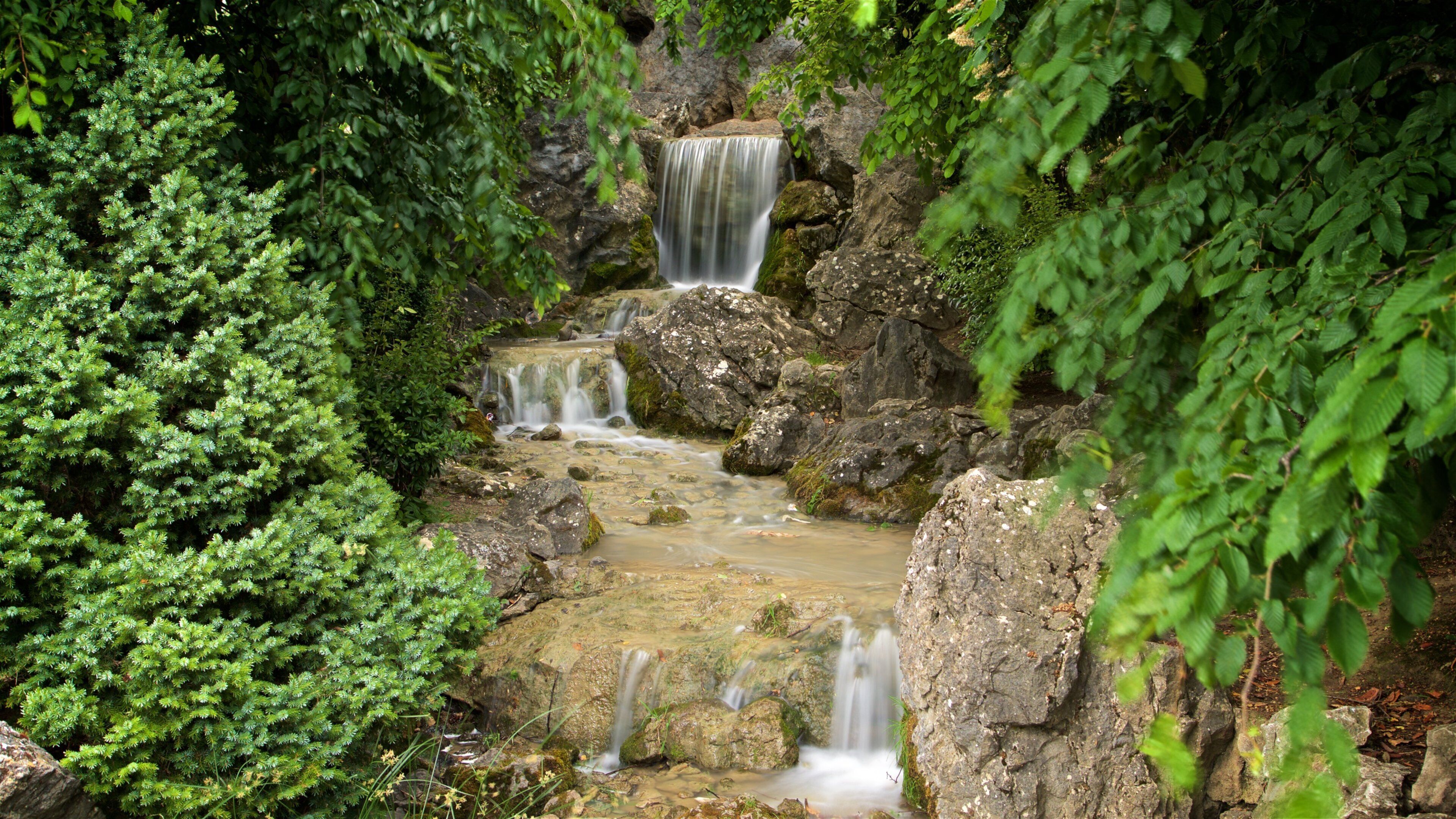 Yamaguchi Park featuring a river or creek