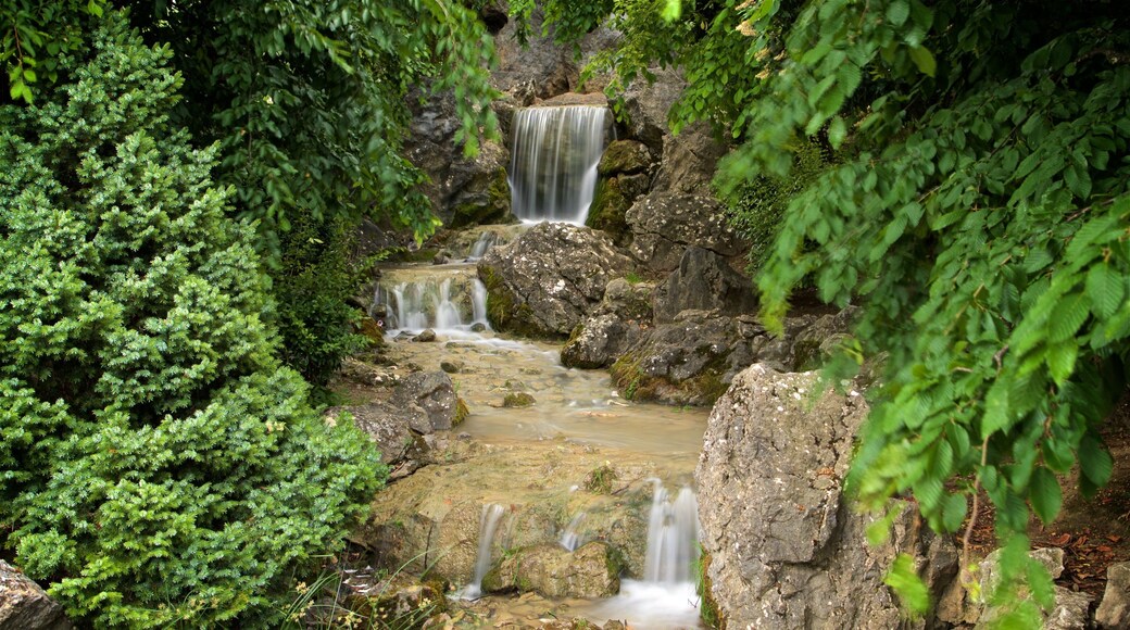Yamaguchi Park featuring a river or creek