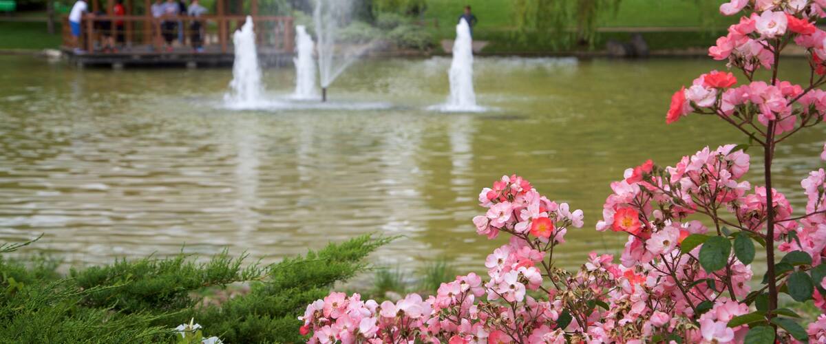 Parc de Yamaguchi