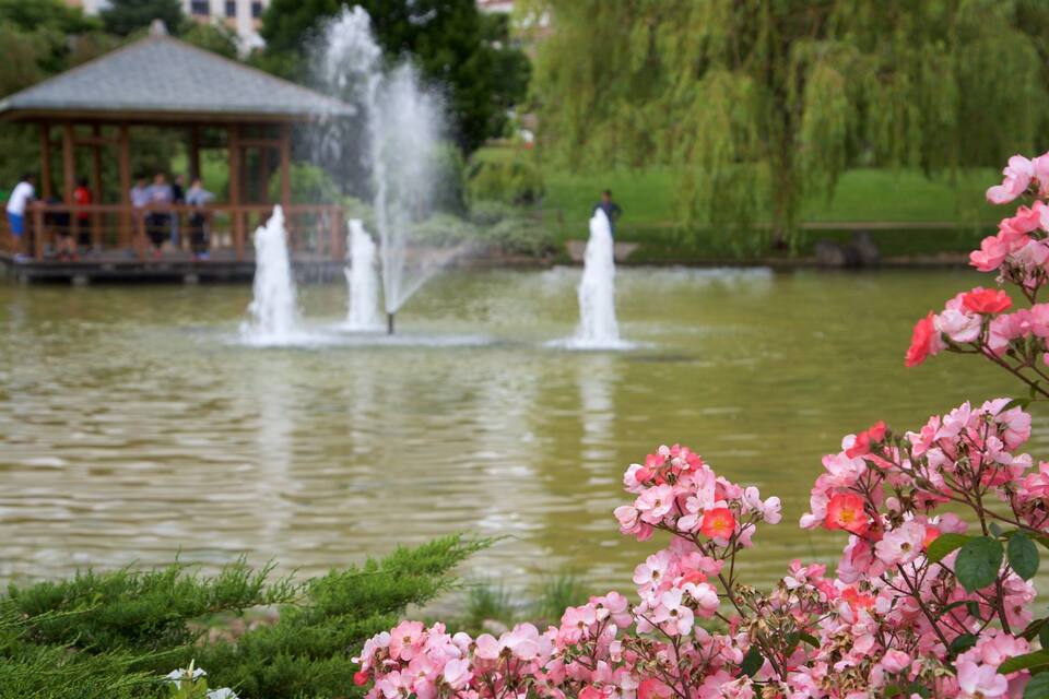 A pond with pink flowers in the foreground and a gazebo with people in the background.
