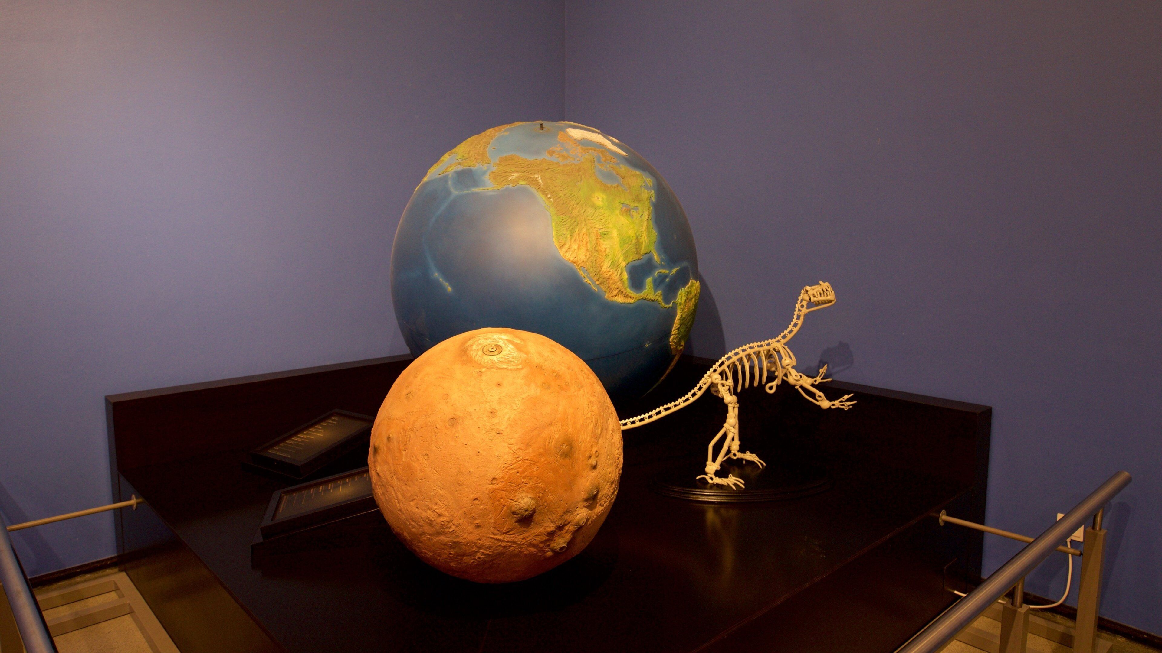 Planetário de Pamplona mostrando vistas internas