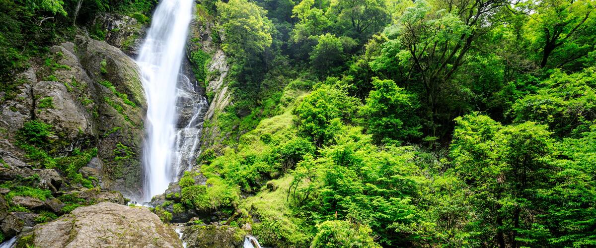 初夏の栴檀轟の滝 熊本県八代市 Sendan Todoro Falls in early summer. Kumamoto Pref, Yatsushiro City.