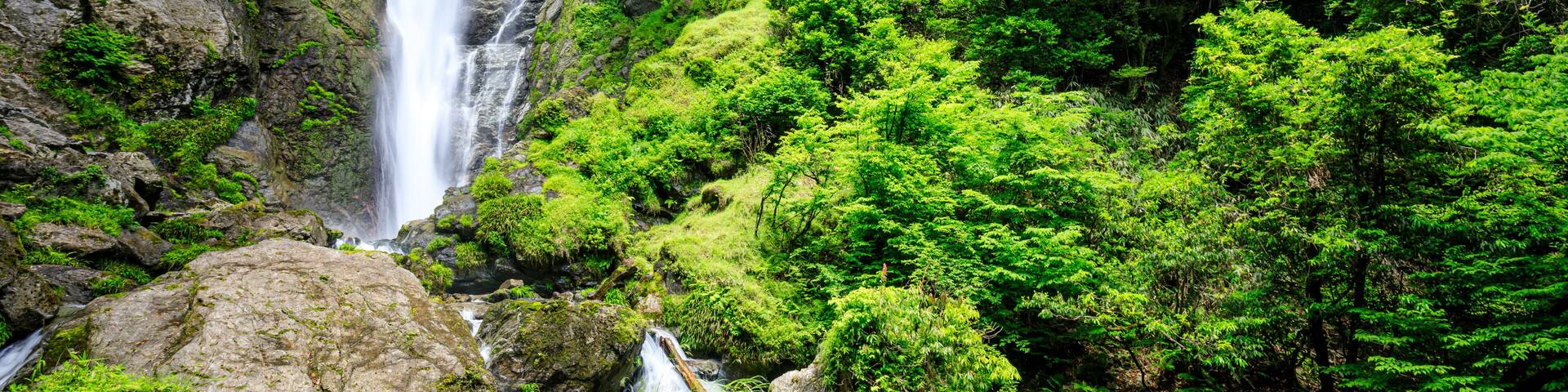 初夏の栴檀轟の滝 熊本県八代市 Sendan Todoro Falls in early summer. Kumamoto Pref, Yatsushiro City.