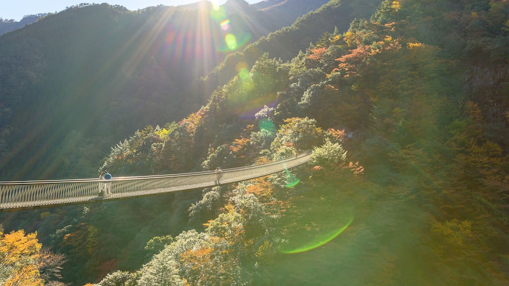 秘境の自然風景(秋)五家荘「梅の木轟公園吊橋」全景パノラマ Unexplored natural scenery (Autumn) Gokaso "Umenoki Todoroki Park Suspension Bridge" panoramic view 日本2020年秋撮影 Photographed in autumn 2020 in Japan 九州・熊本県八代市 Yatsushiro