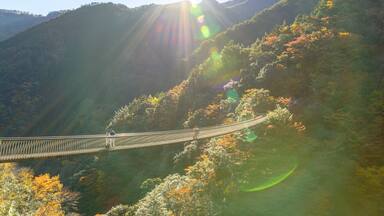 秘境の自然風景(秋)五家荘「梅の木轟公園吊橋」全景パノラマ Unexplored natural scenery (Autumn) Gokaso "Umenoki Todoroki Park Suspension Bridge" panoramic view 日本2020年秋撮影 Photographed in autumn 2020 in Japan 九州・熊本県八代市 Yatsushiro