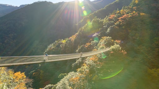 秘境の自然風景(秋)五家荘「梅の木轟公園吊橋」全景パノラマ Unexplored natural scenery (Autumn) Gokaso "Umenoki Todoroki Park Suspension Bridge" panoramic view 日本2020年秋撮影 Photographed in autumn 2020 in Japan 九州・熊本県八代市 Yatsushiro