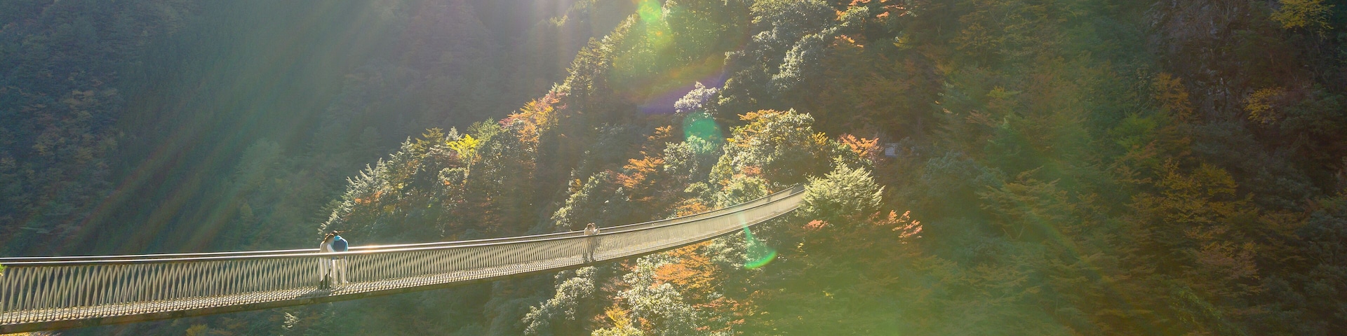A suspension bridge over a forested valley with sunlight filtering through the trees.