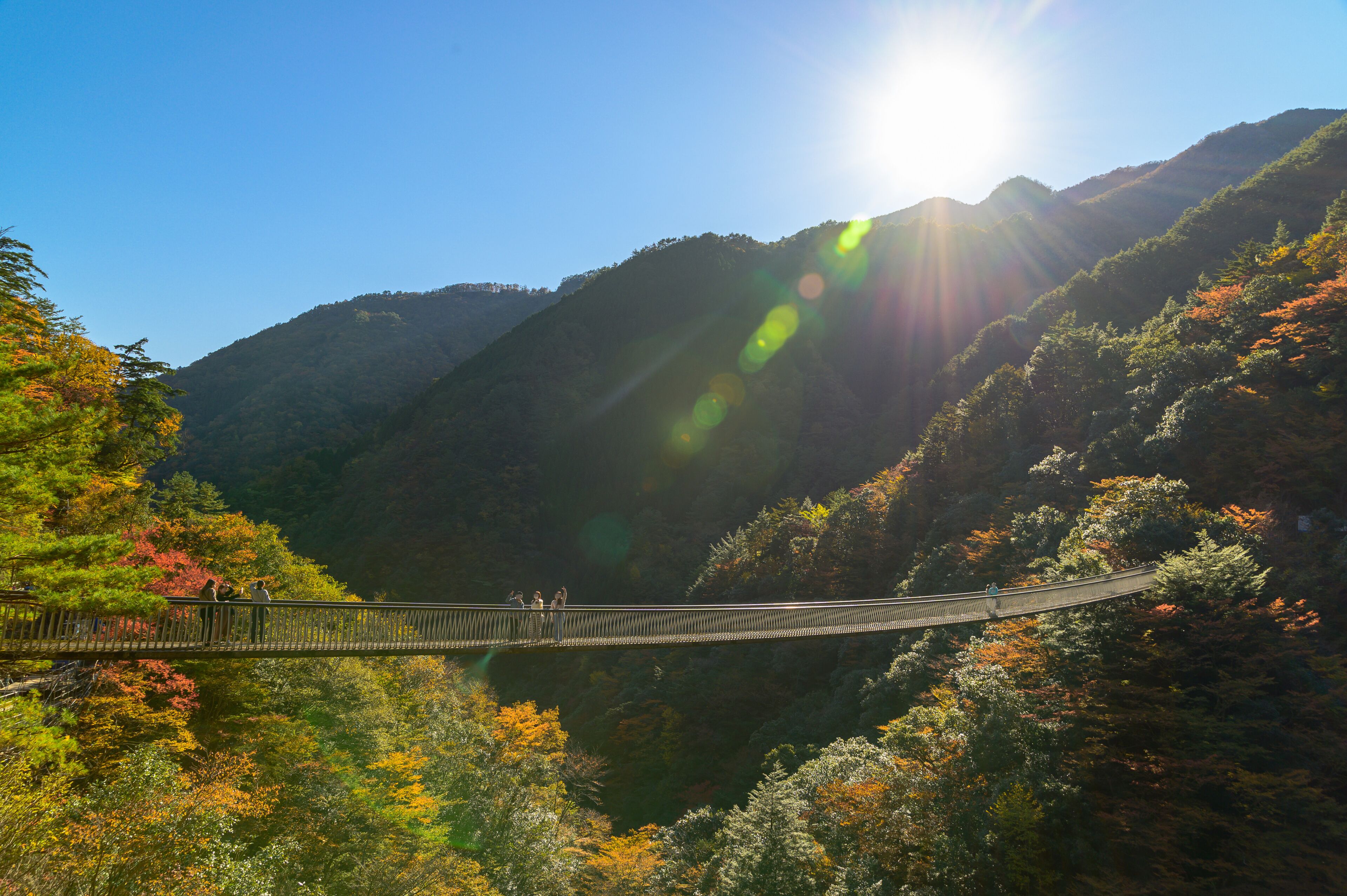 秘境の自然風景(秋)五家荘「梅の木轟公園吊橋」全景パノラマ Unexplored natural scenery (Autumn) Gokaso "Umenoki Todoroki Park Suspension Bridge" panoramic view  日本2020年秋撮影 Photographed in autumn 2020 in Japan  九州・熊本県八代市 Yatsushiro