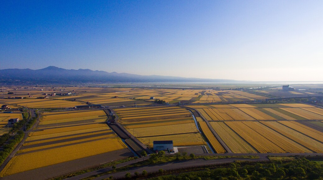 Springtime Fields in Isahaya City, Nagasaki Prefecture by drone_07