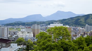 Isahaya city from Isahaya Castle