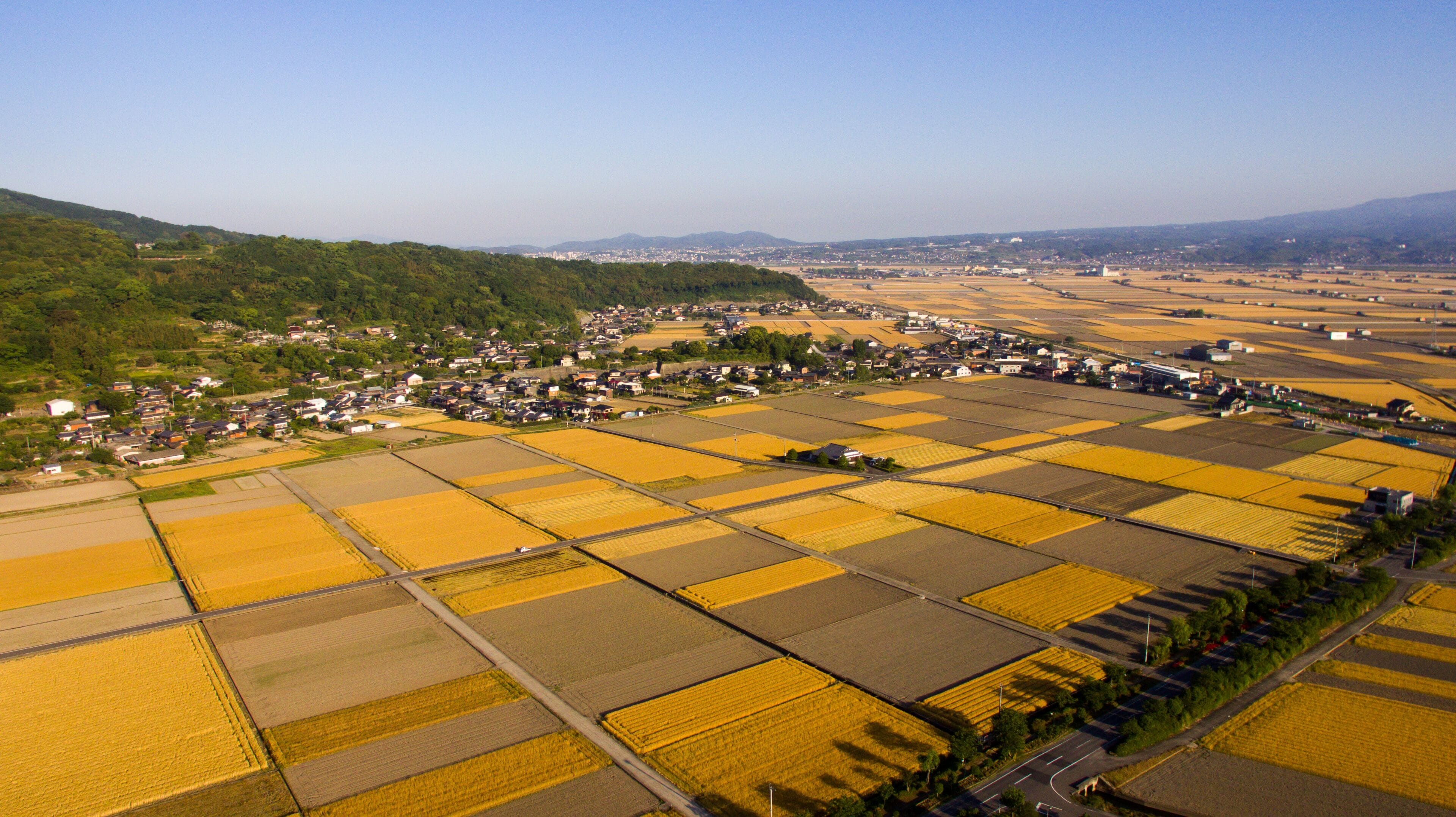 Springtime Fields in Isahaya City, Nagasaki Prefecture by drone_03