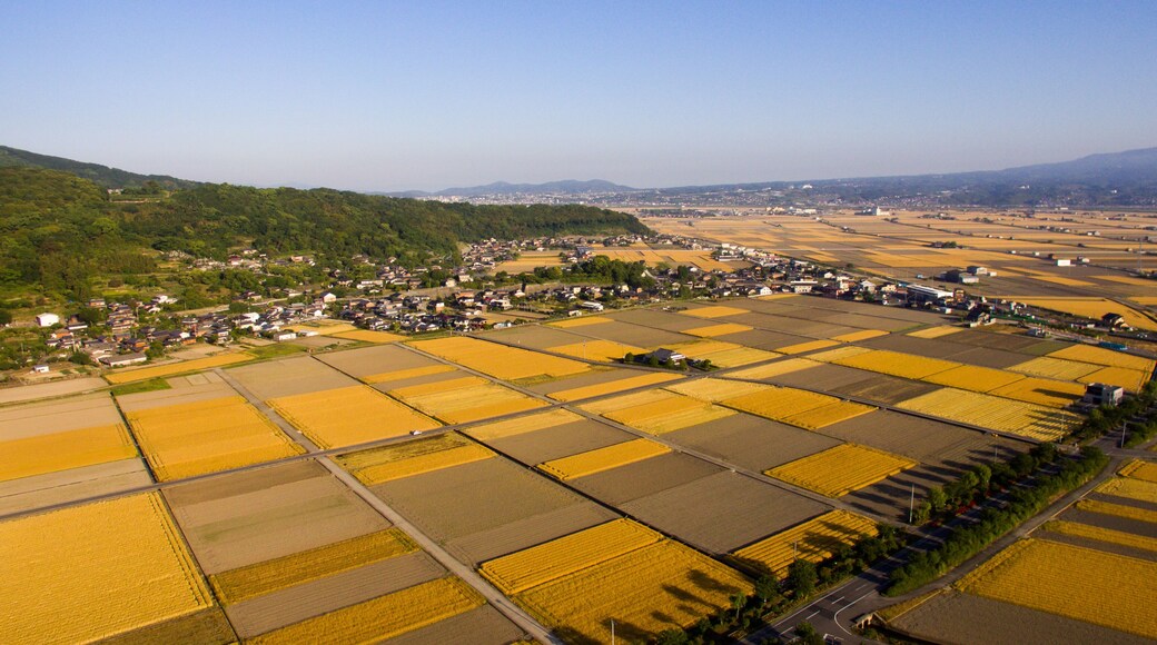 Springtime Fields in Isahaya City, Nagasaki Prefecture by drone_03