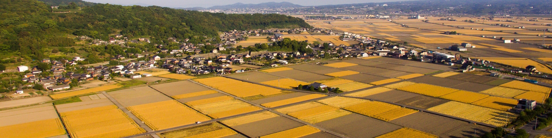 Springtime Fields in Isahaya City, Nagasaki Prefecture by drone_03
