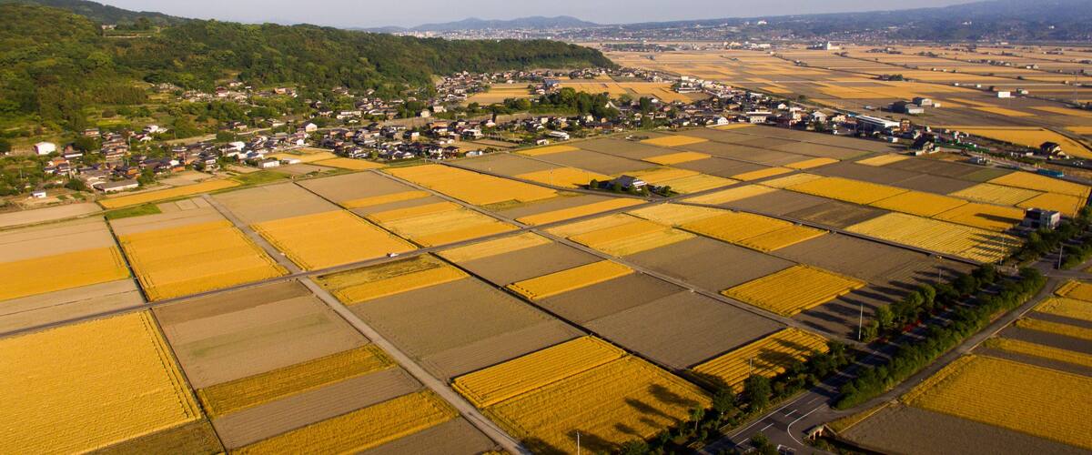 An aerial view of a rural landscape with fields, a small town, and distant mountains.